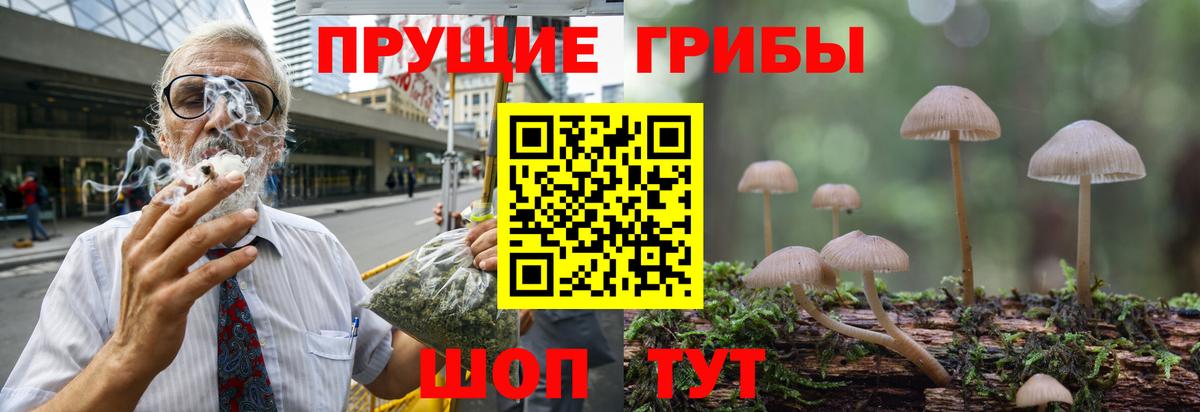 Волгоград  Псилоцибиновые грибы MAGIC MUSHROOMS  Вход с VPN 